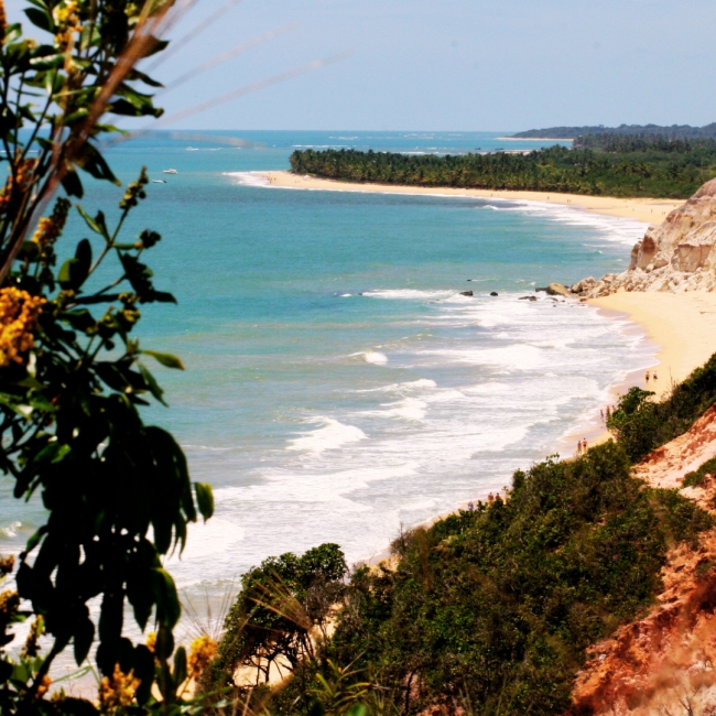 PORTO SEGURO VUELO DIRECTO VERANO 2025